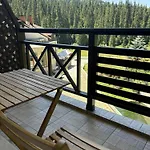 Pine Forest بامبوروفو