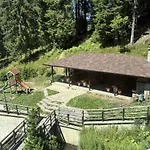 Pine Forest شقة فندقية 4*