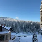 Pine Forest شقة فندقية