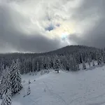 Pine Forest شقة فندقية 4*