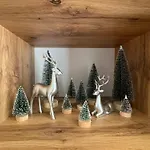 شقة فندقية Pine Forest بامبوروفو