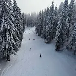 Pine Forest 4* Пампорово