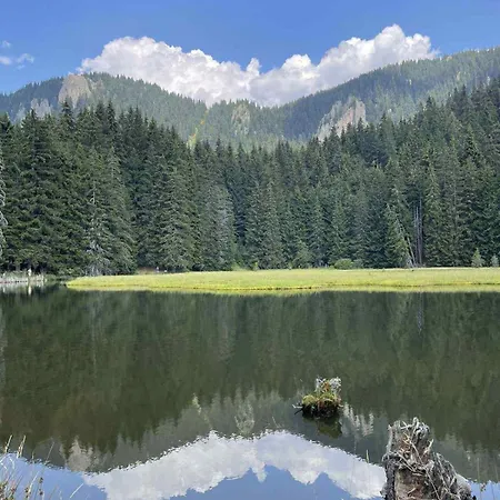 Pine Forest Апартхотел