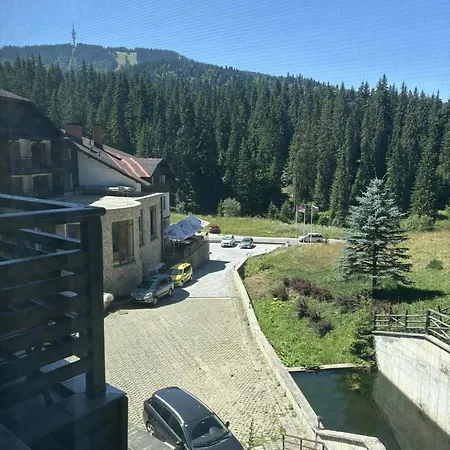 Апартхотел Pine Forest