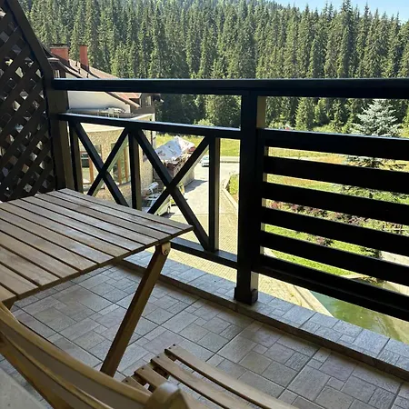 Pine Forest Пампорово