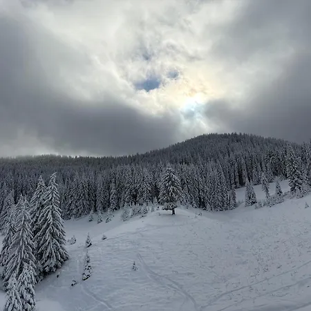 Pine Forest Апартхотел 3*