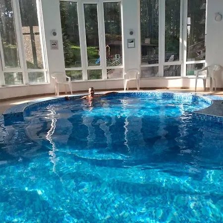 Pine Forest Пампорово