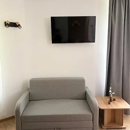 Pine Forest