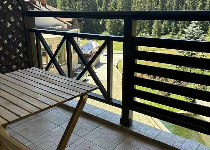 Pine Forest Pamporovo