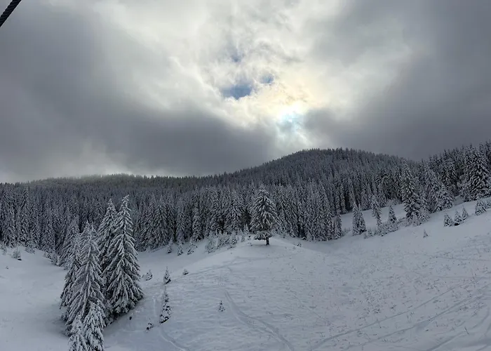 Pine Forest Aparthotel 3*