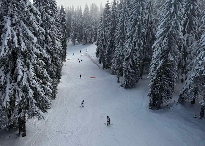 Pine Forest 3* Pamporovo